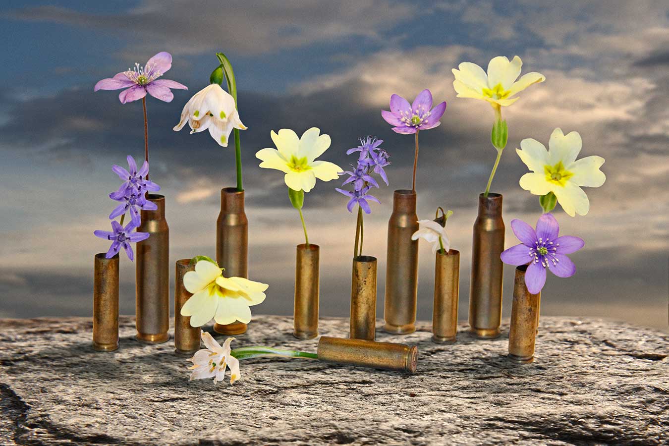 Voglia di pace - 2009