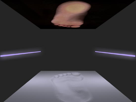 room piede